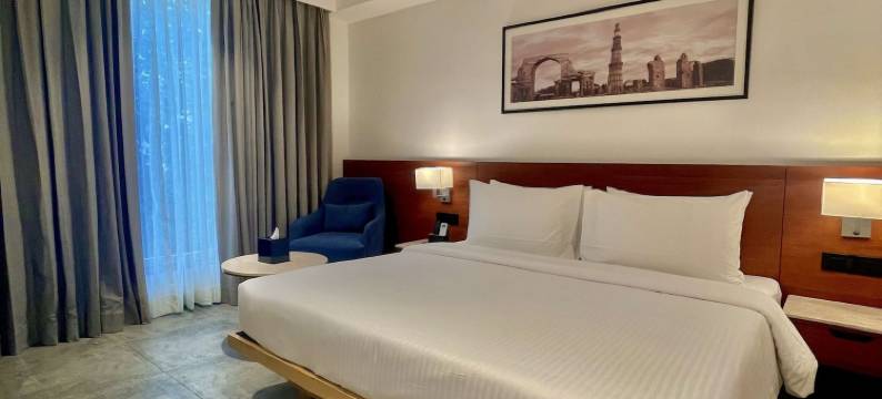 贝斯特韦斯特玛哈拉尼巴格(Best Western Maharani Bagh New Delhi)图片