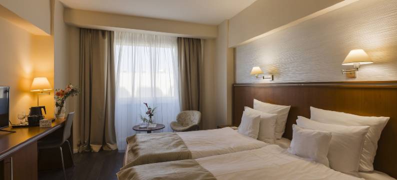 蒂米什瓦拉酒店(Hotel Timisoara)图片