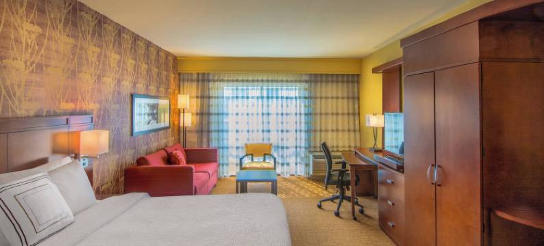 查尔斯顿市中心/市政中心万怡酒店(Courtyard Charleston Downtown/Civic Center)图片