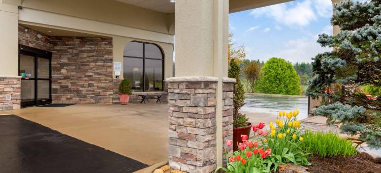 阿什维尔北部舒适酒店(Comfort Inn North of Asheville)图片