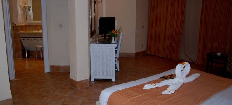 文奇比萨菲拉棕榈 Spa 酒店(Vincci Safira Palms)图片