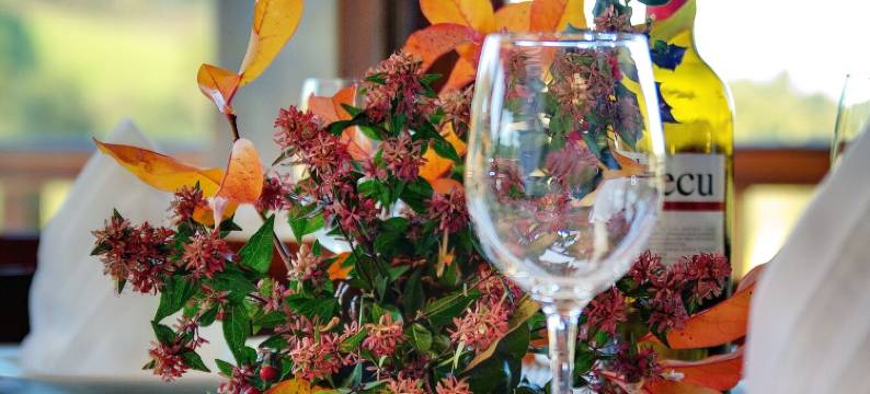 里奥潘布雷浴场酒店(Hotel Balneario Río Pambre)图片