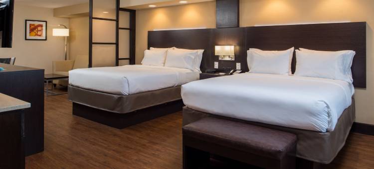 圣安东尼奥医疗六旗智选假日套房酒店(Holiday Inn Express & Suites San Antonio Medical-Six Flags)图片
