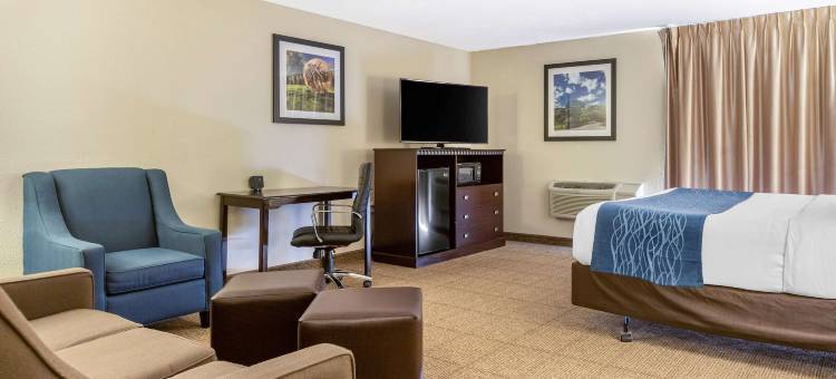 舒适酒店大急流城机场(Comfort Inn Grand Rapids Airport)图片