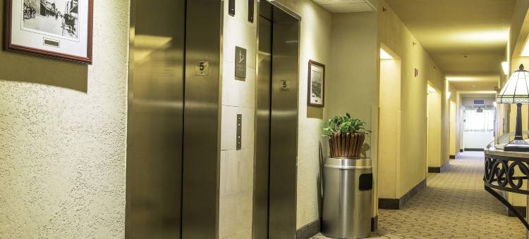 舒适套房酒店-迈阿密肯德尔(Comfort Suites Miami - Kendall)图片