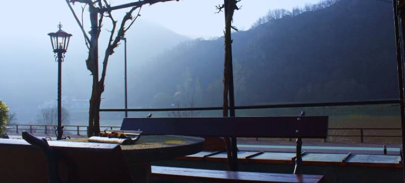 斯文吉酒店(Hotel Sewenig)图片