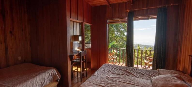 布罗梅利亚之花酒店(Hotel Flor de Bromelia)图片