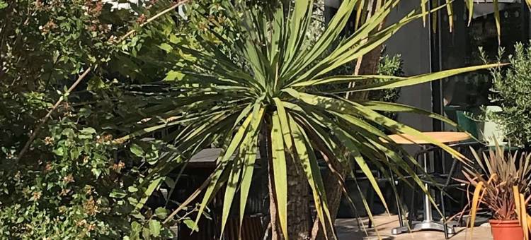 马赛机场英式酒店(Brit Hotel Marseille Aéroport)图片