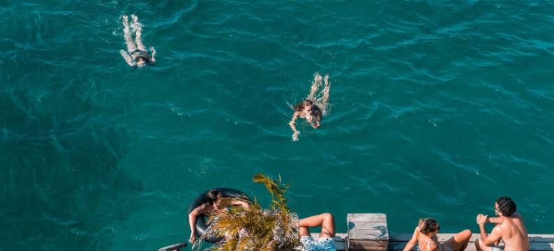 竹舞者博卡斯城 - 旅馆(Bambuda Bocas Town)图片