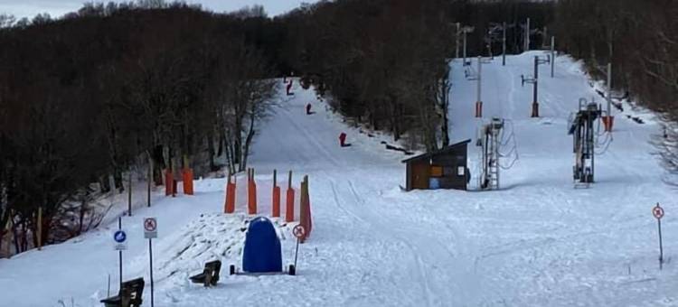 公园酒店(Hôtel du Parc)图片