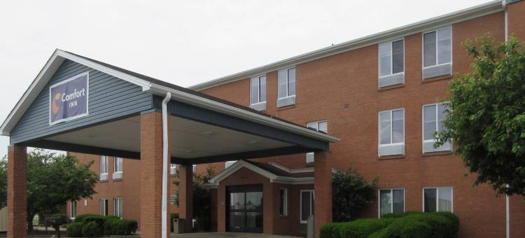 斯普林菲尔德舒适酒店及套房(Springfield Inn)图片