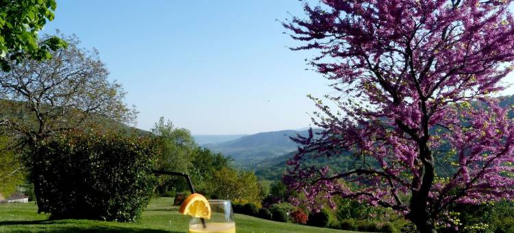 比奎特旅馆(Logis Hôtel-Restaurant la Mère Biquette)图片