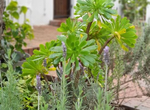 The High Street Accommodation Hotel Overview