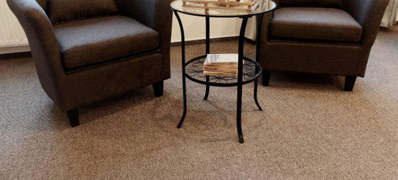 斯塔拉波斯达旅馆(Penzion Stará pošta)图片