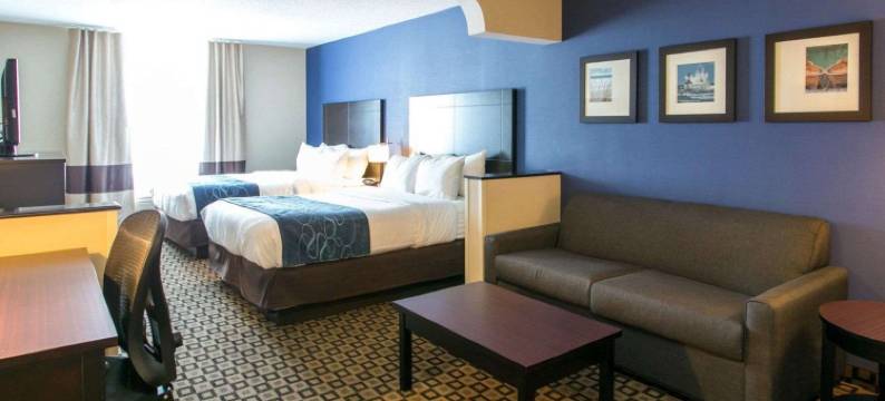 舒适套房酒店-本顿港-圣约瑟(Comfort Suites Benton Harbor - St. Joseph)图片