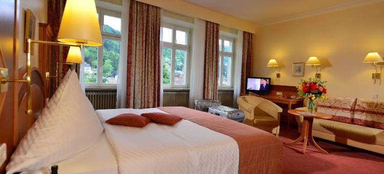 海德堡城市伙伴酒店(City Partner Hotel Holländer Hof)图片