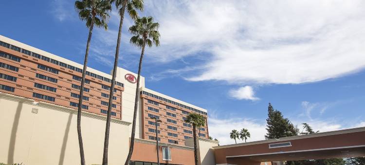 希尔顿康科德酒店(Hilton Concord)图片