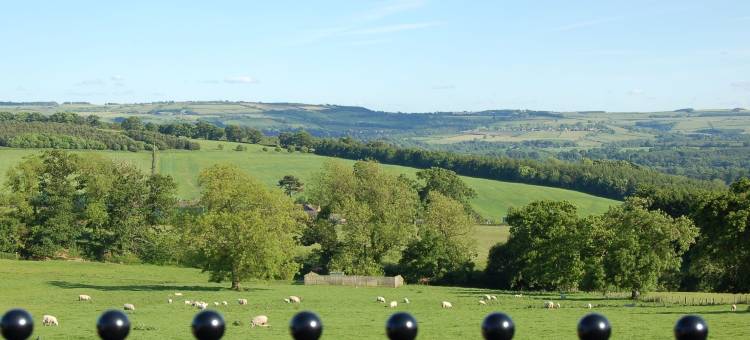 惠灵顿公爵旅馆(Duke of Wellington Inn)图片