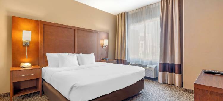 会议中心内舒适酒店(Comfort Inn at Convention Center)图片