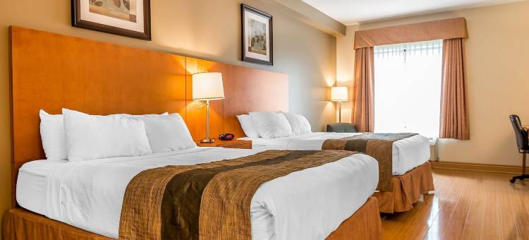 霍克斯伯里品质套房酒店(Quality Inn & Suites)图片