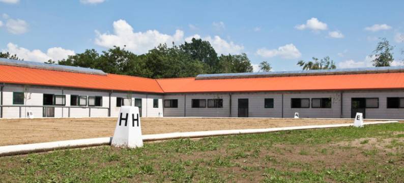 菲比酒店 - 乡村旅馆(Country Inn Suitenhotel)图片