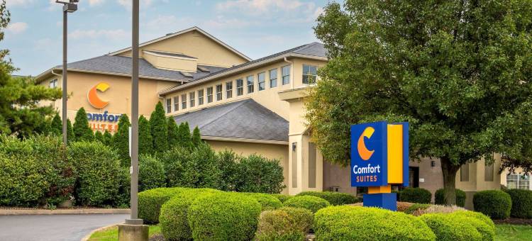 舒适套房酒店(Comfort Suites)图片