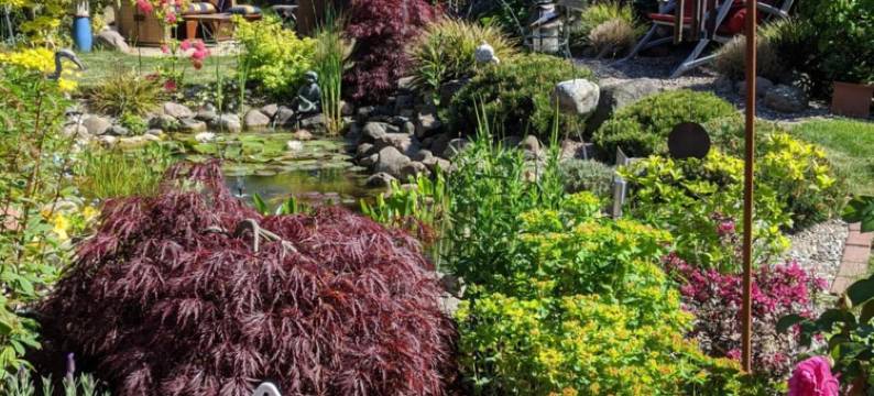 艾乌尔内斯特旅馆(Eulennest)图片