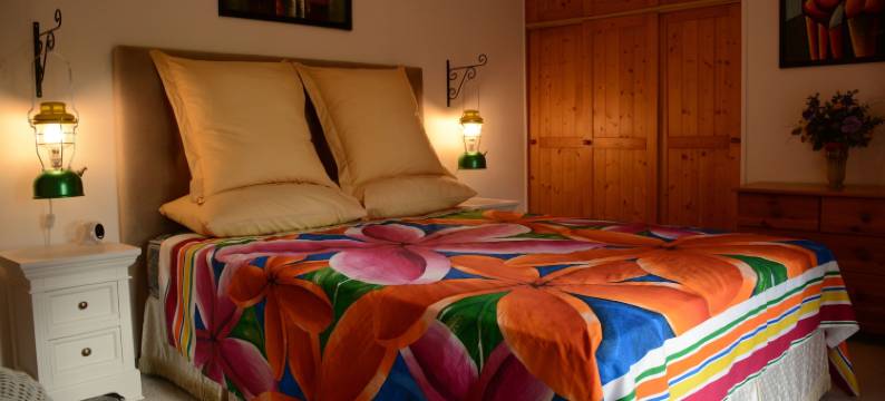 勒努瓦埃尔欧奈酒店(Les Noyers Aulnay)图片