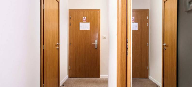 凤凰酒店(Hotel Phoenix)图片