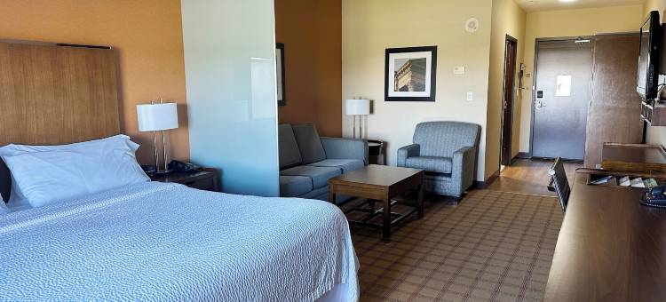 埃德蒙顿机场福朋喜来登酒店(Four Points by Sheraton Edmonton Gateway)图片