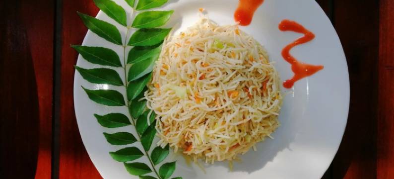 维威卡旅馆(Viveka Inn Guest and Yala Safari)图片