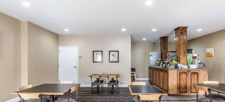 凯艺套房酒店(Quality Inn & Suites)图片