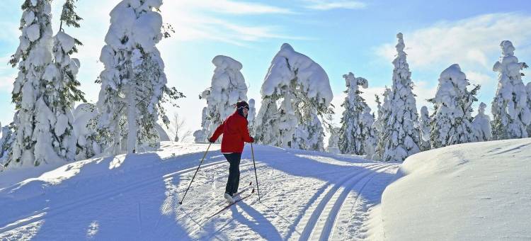 肯尼格索夫酒店(Hotel Königshof)图片