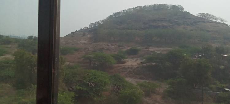 富裕酒店(Hotel Opulence)图片