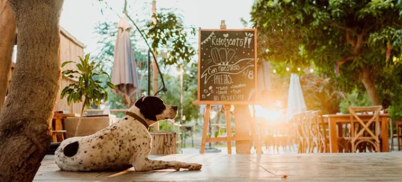 阿拉巴尔酒店基金(Hotel Fundo El Arrabal)图片