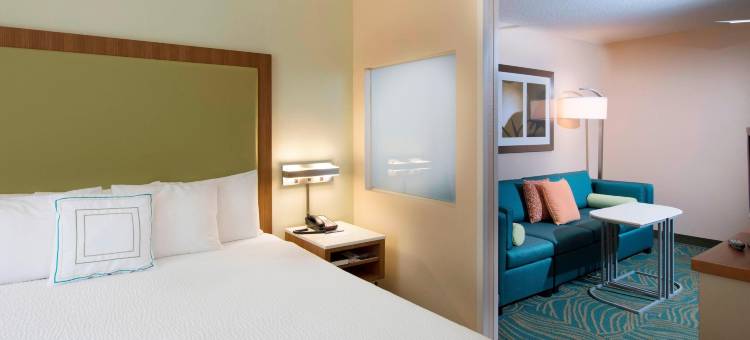 亚特兰大阿尔普哈雷塔万豪SpringHill酒店(SpringHill Suites Atlanta Alpharetta)图片