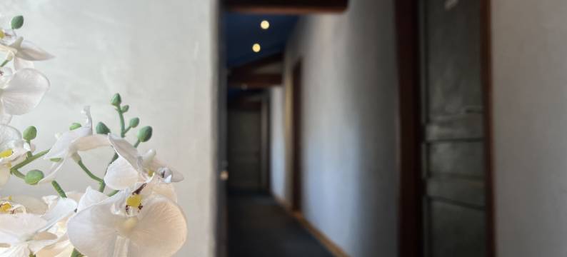 皮潘盖尔庄园(Domaine de Pipangaille)图片