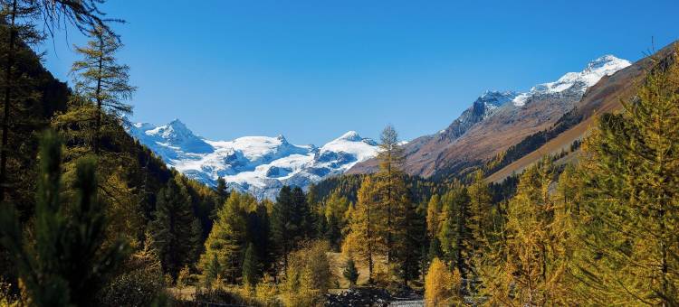 星辰庞特雷西纳(Sunstar Hotel Pontresina)图片