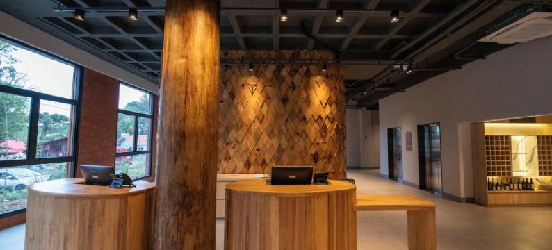 希尔顿逸林酒店卡拉科尔卡内拉(DoubleTree by Hilton Caracol Canela)图片