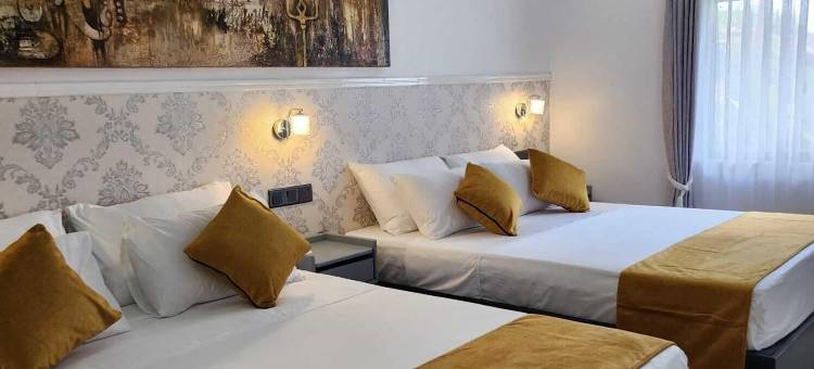 印楝树之家(Neem Tree House, Trincomalee)图片