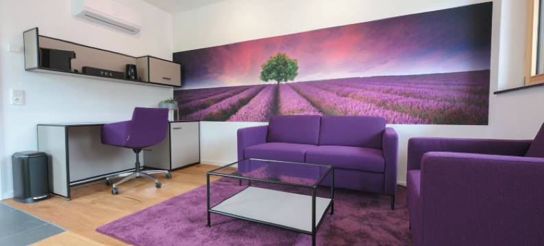 Plein酒店(Altes Kelterhaus & Plein Hotel by Markus Plein)图片