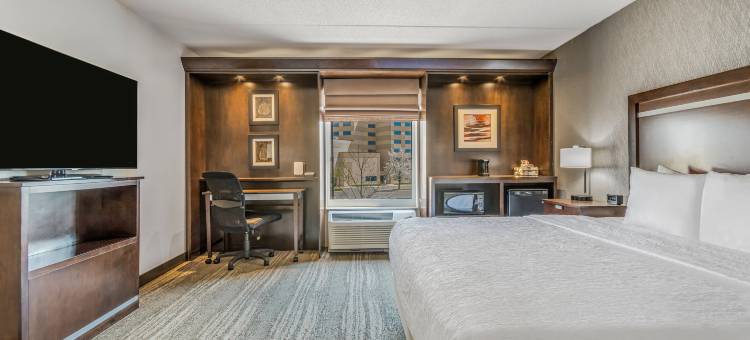 希尔顿欢朋套房酒店-底特律机场罗穆勒斯(Hampton Inn & Suites Detroit/Airport-Romulus)图片