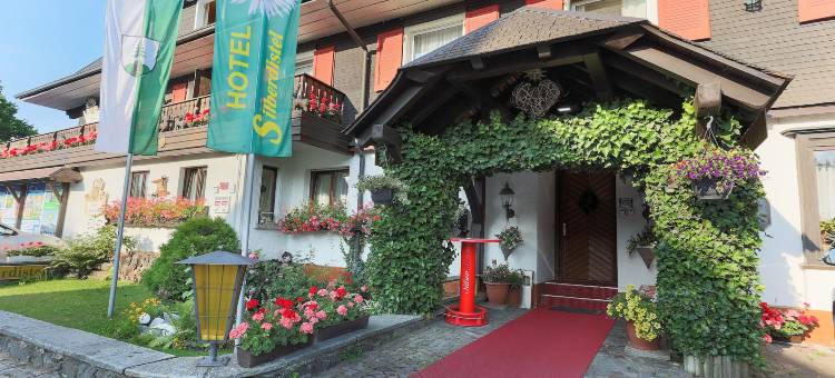 斯尔博迪斯特尔酒店(Hotel Silberdistel)图片