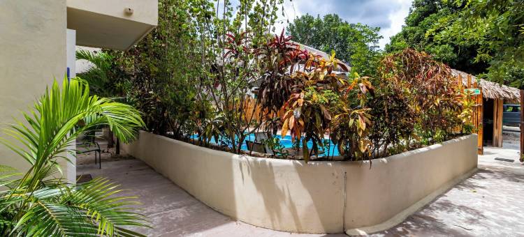 绿洲巴卡拉尔套房酒店(Hotel & Suites Oasis Bacalar)图片