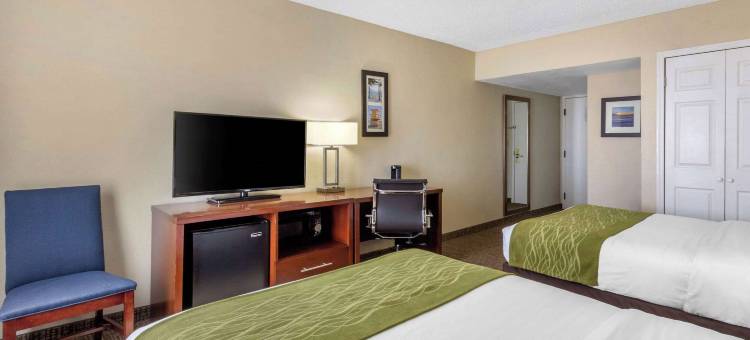北圣彼得堡舒适酒店(Comfort Inn St Petersburg North)图片