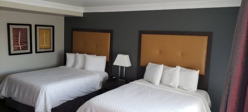 伯班克波托菲诺酒店(Portofino Inn Burbank)图片