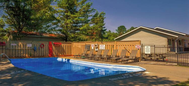 金斯顿速8酒店(Super 8 by Wyndham Kingston)图片