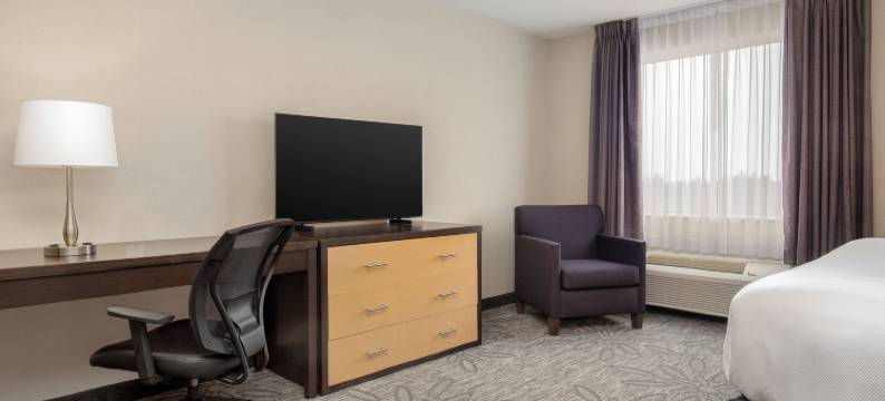 凯艺套房酒店(Quality Inn & Suites Kingston)图片