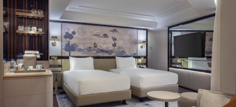 伊斯坦布尔苏丹艾哈迈德希尔顿启缤精选丽图斯酒店(The Ritus Hotel Istanbul Sultanahmet, Tapestry Collection by Hilton)图片