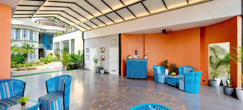 兰花帕萨罗斯贝瑙林果阿 - 限成人(The Orchid Passaros Goa)图片